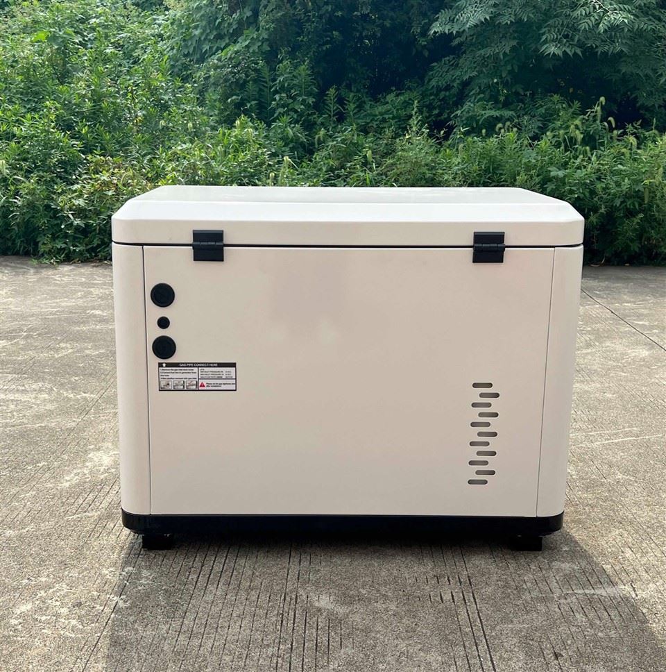 Guardian Series Dual Fuel 7.5kW Generator