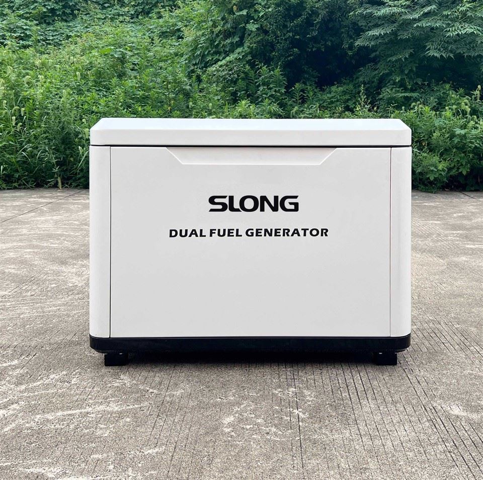 Guardian Series Dual Fuel 7.5kW Generator