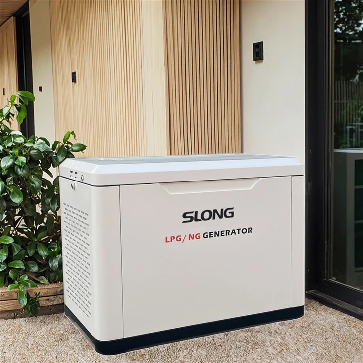 Wohnungsgenerator unter Verwendung von LPG- oder Methangasbrennstoffen Wohnungsgenerator Erdgas angetrieben mit WLAN -Kontrolle