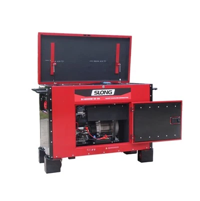 Tragbarer 14-kW-Generator mit Transferschalter